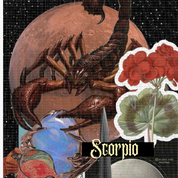 The Astrology Vault- Scorpio